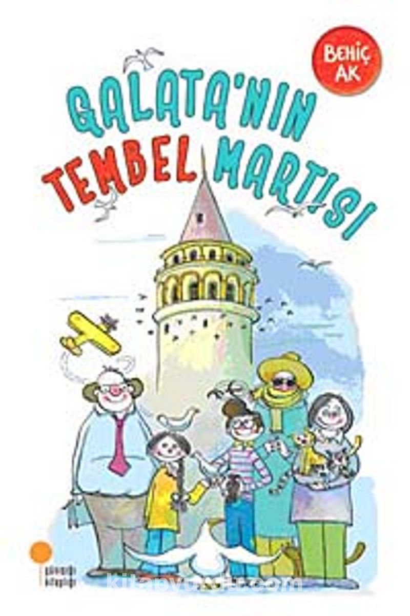 Galata'nın Tembel Martısı