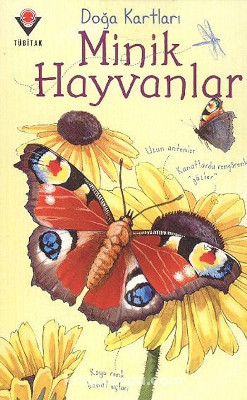 Doğa Kartları / Minik Hayvanlar
