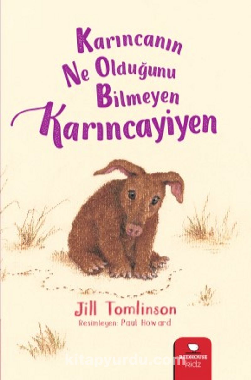 Karıncanın Ne Olduğunu Bilmeyen Karınca Yiyen