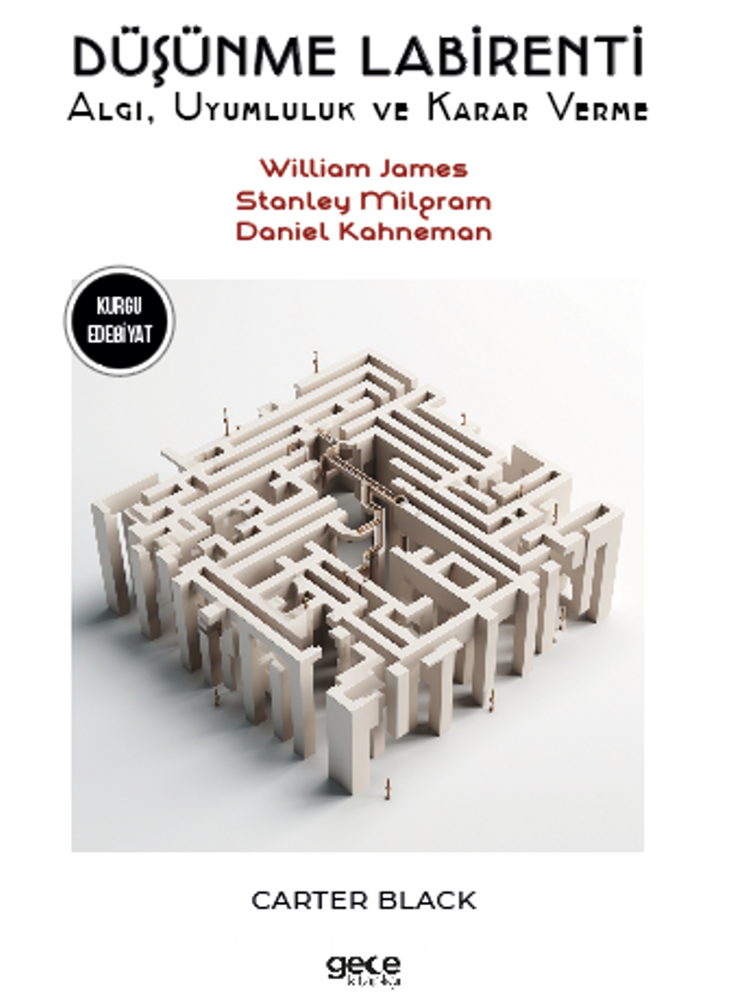 Düşünme Labirentleri / Algı, Uyumluluk ve Karar Verme