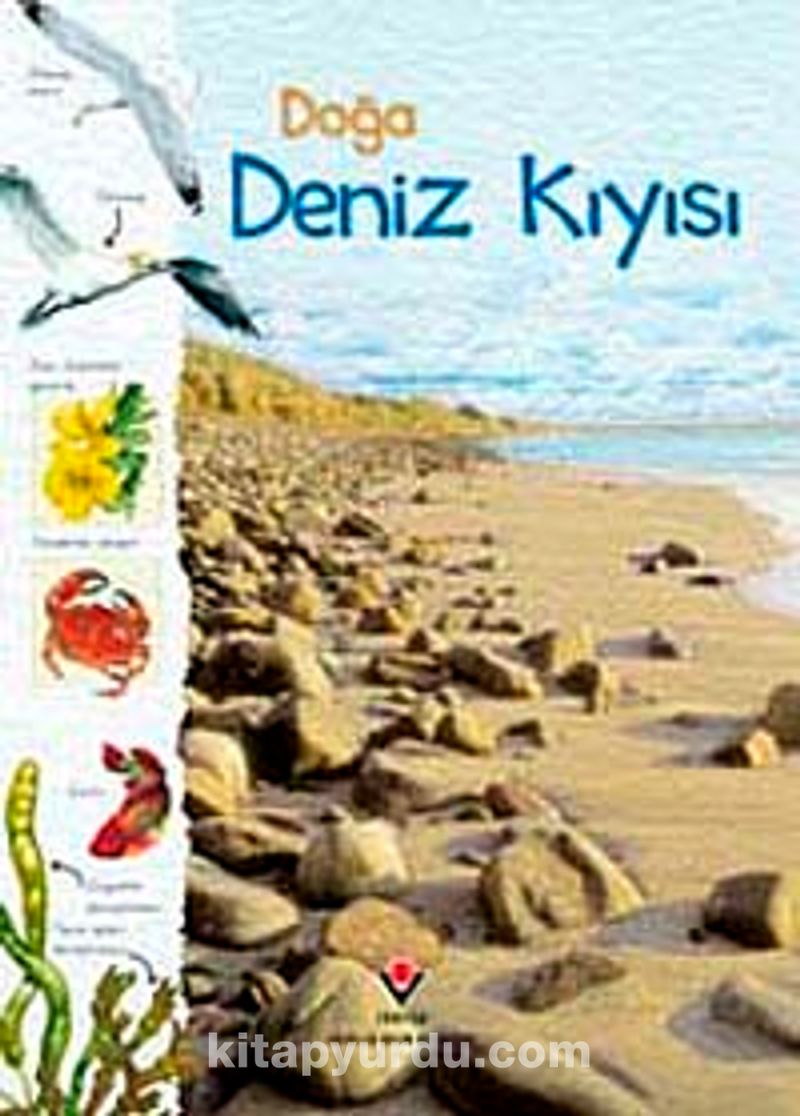 Doğa: Deniz Kıyısı