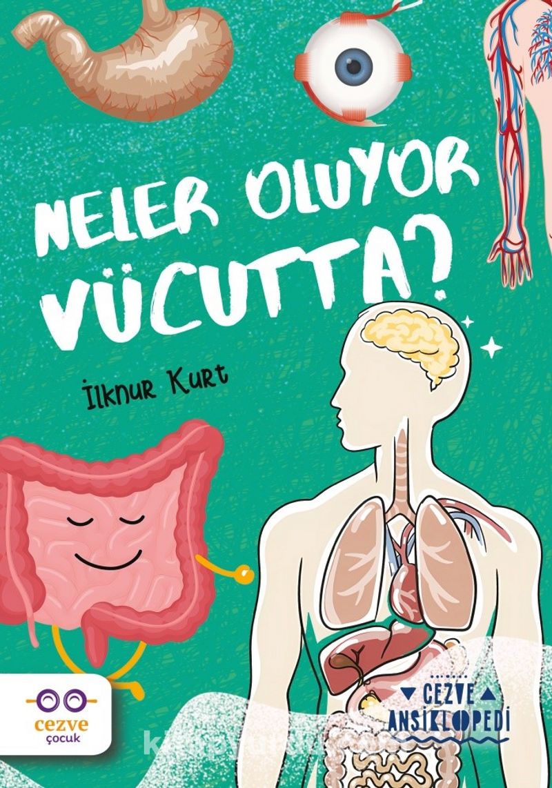Neler Oluyor Vücutta ? / Cezve Ansiklopedi