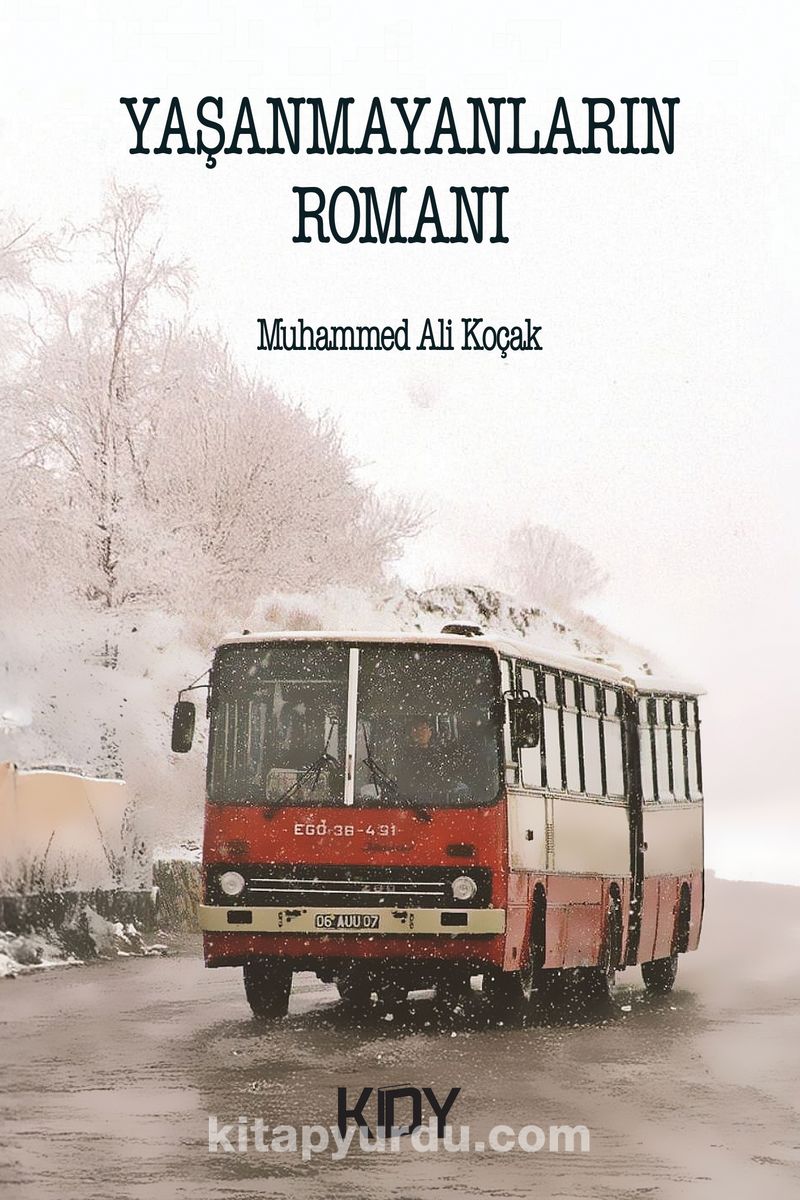 Yaşanmayanların Romanı