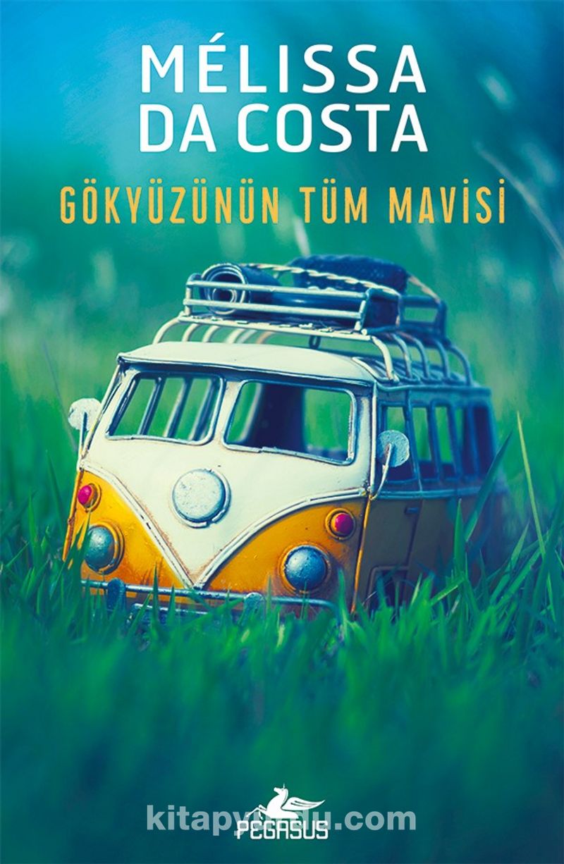 Gökyüzünün Tüm Mavisi