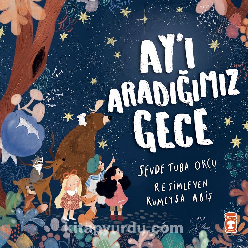 Ay’ı Aradığımız Gece