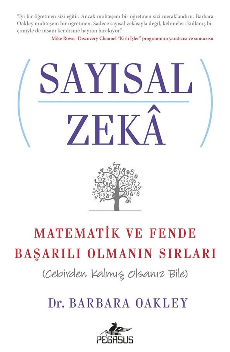 Sayısal Zeka