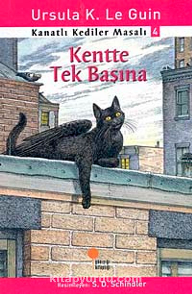 Kentte Tek Başına / Kanatlı Kediler Masalı 4