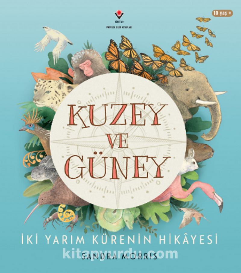 Kuzey ve Güney - İki Yarım Kürenin Hikayesi