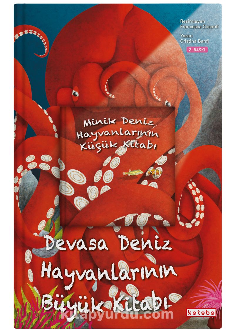 Devasa Deniz Hayvanlarının Büyük Kitabı
