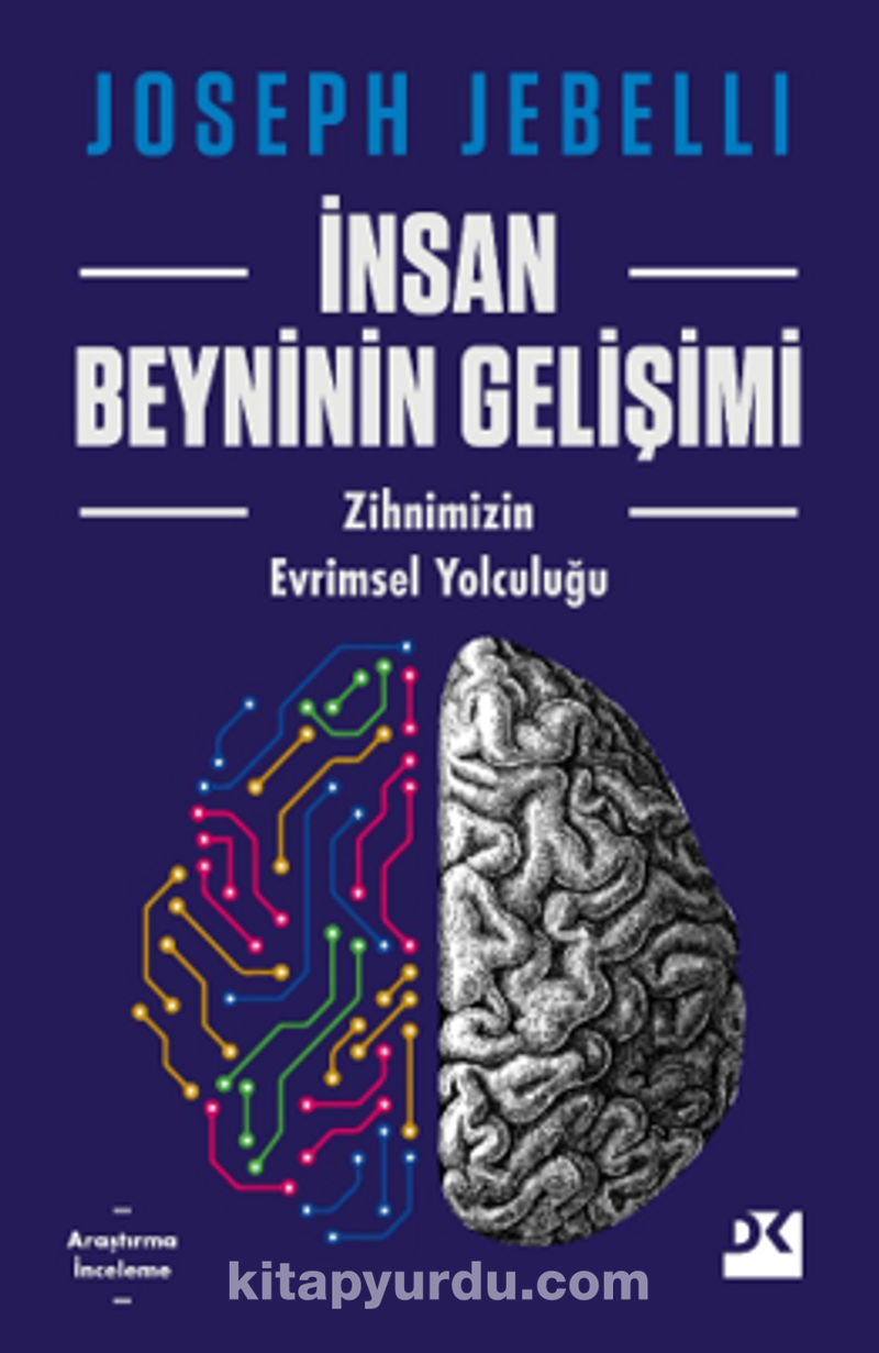 İnsan Beyninin Gelişimi