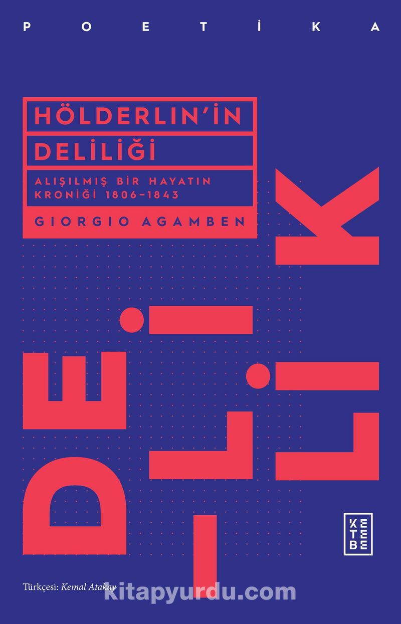 Hölderlin'in Deliliği