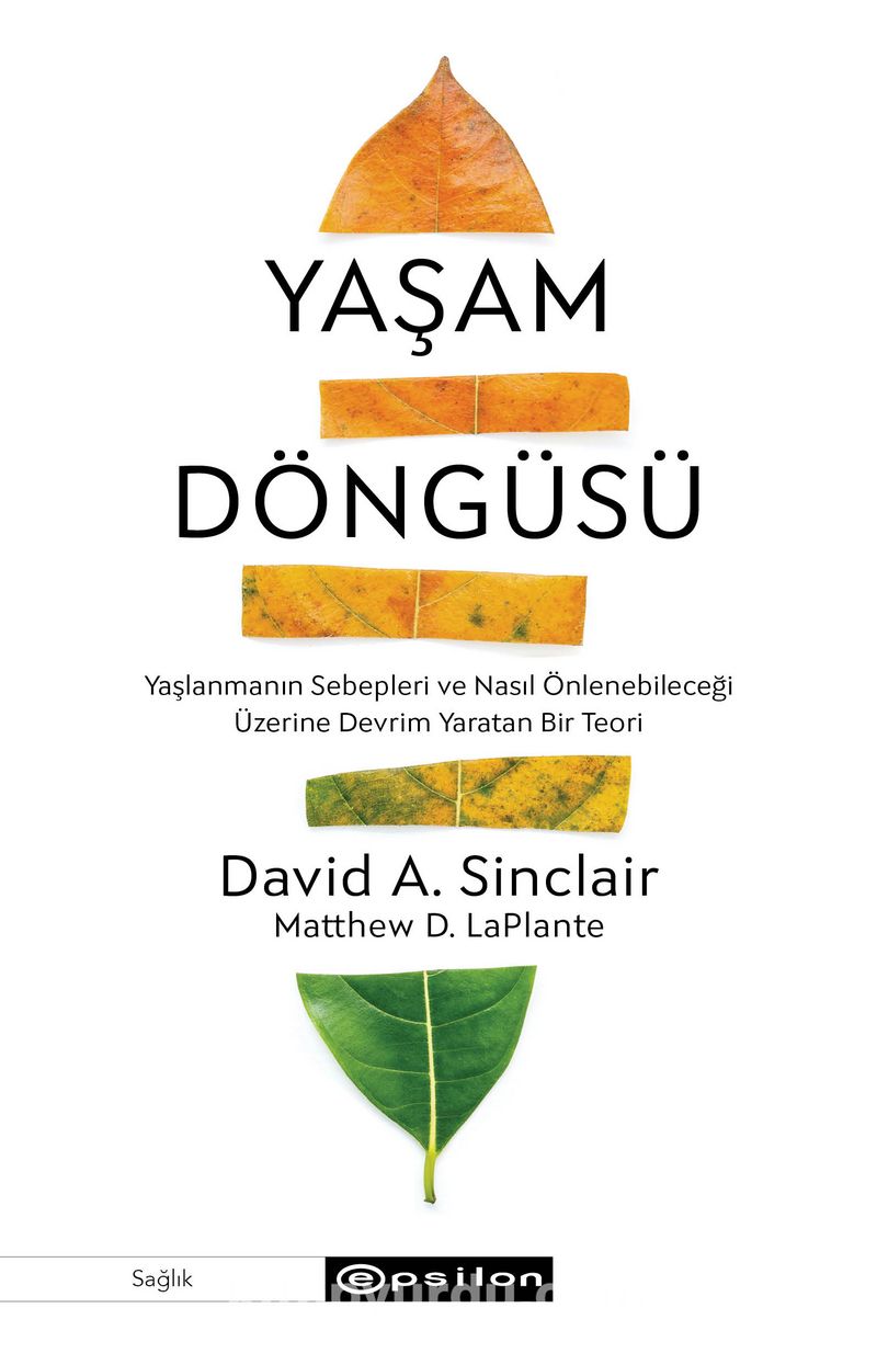 Yaşam Döngüsü