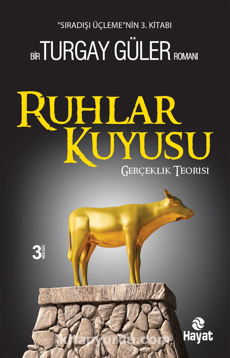 Ruhlar Kuyusu - Gerçeklik Teorisi