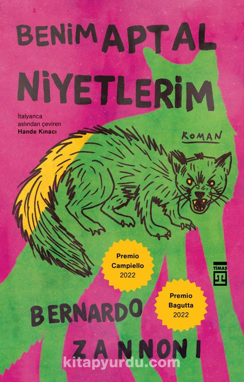 Benim Aptal Niyetlerim