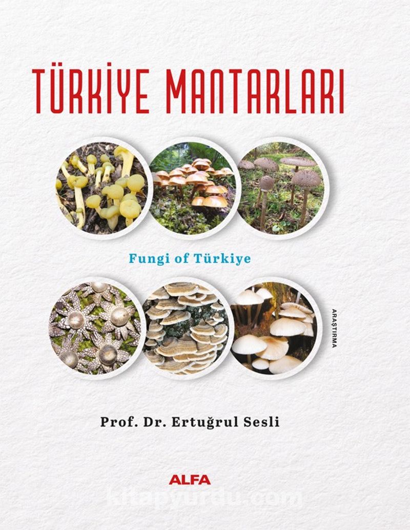 Türkiye Mantarları (Ciltli)