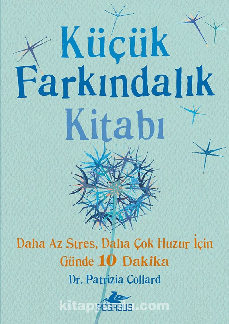 Küçük Farkındalık Kitabı (Fleksi Kapak)