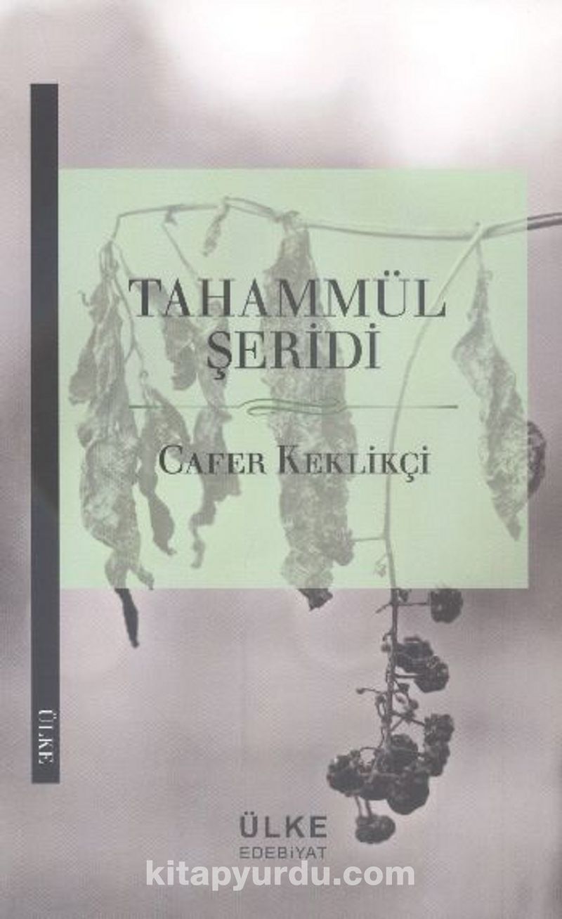 Tahammül Şeridi