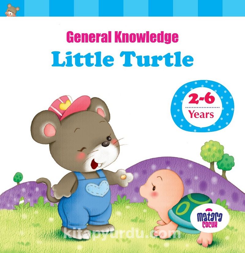 Mirador Little Turtle