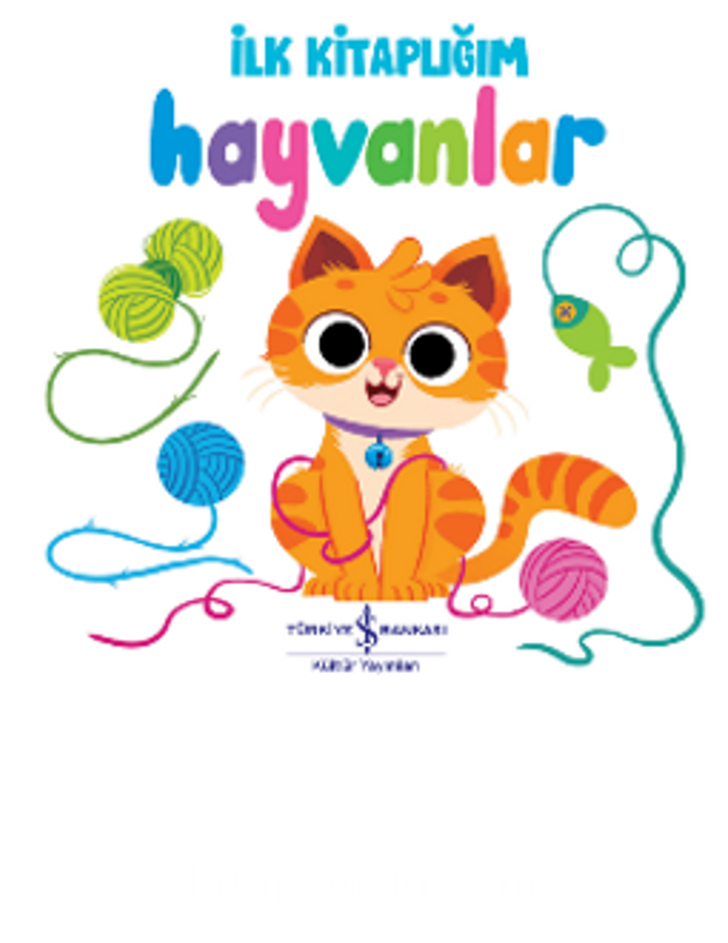 Hayvanlar – İlk Kitaplığım