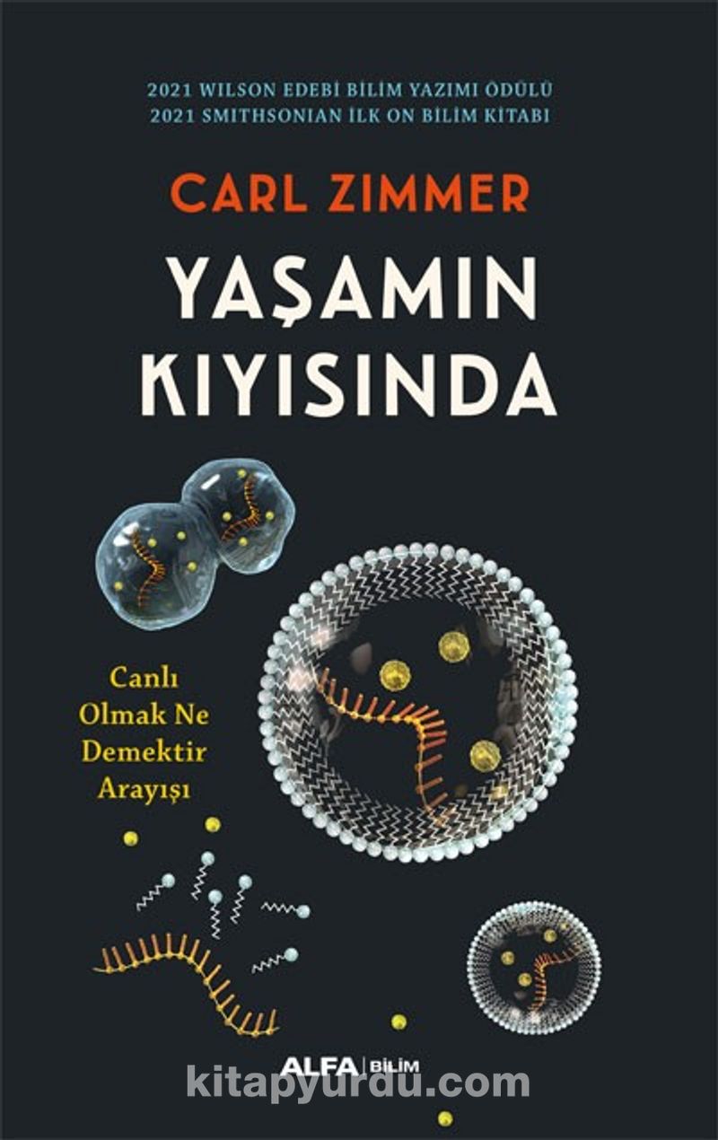 Yaşamın  Kıyısında