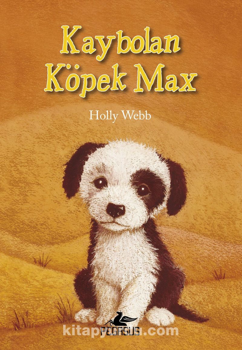 Kaybolan Köpek Max