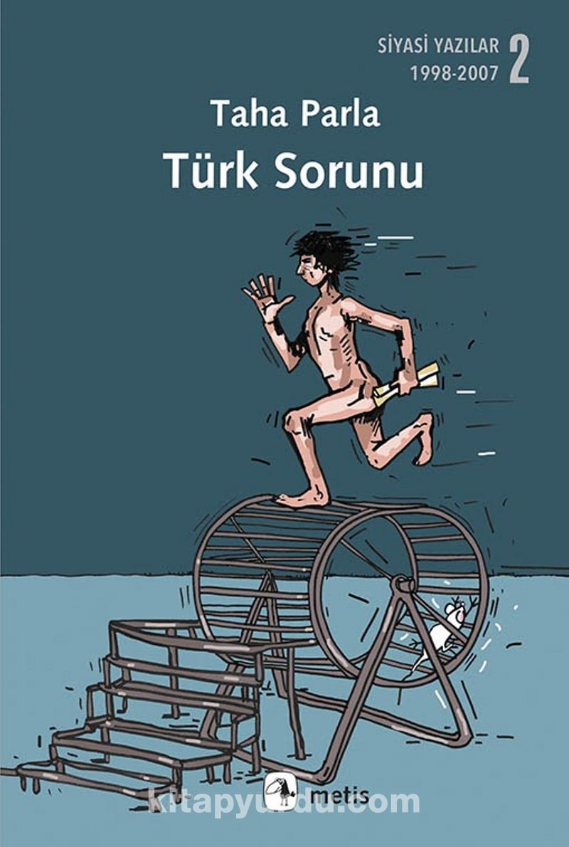 Türk Sorunu