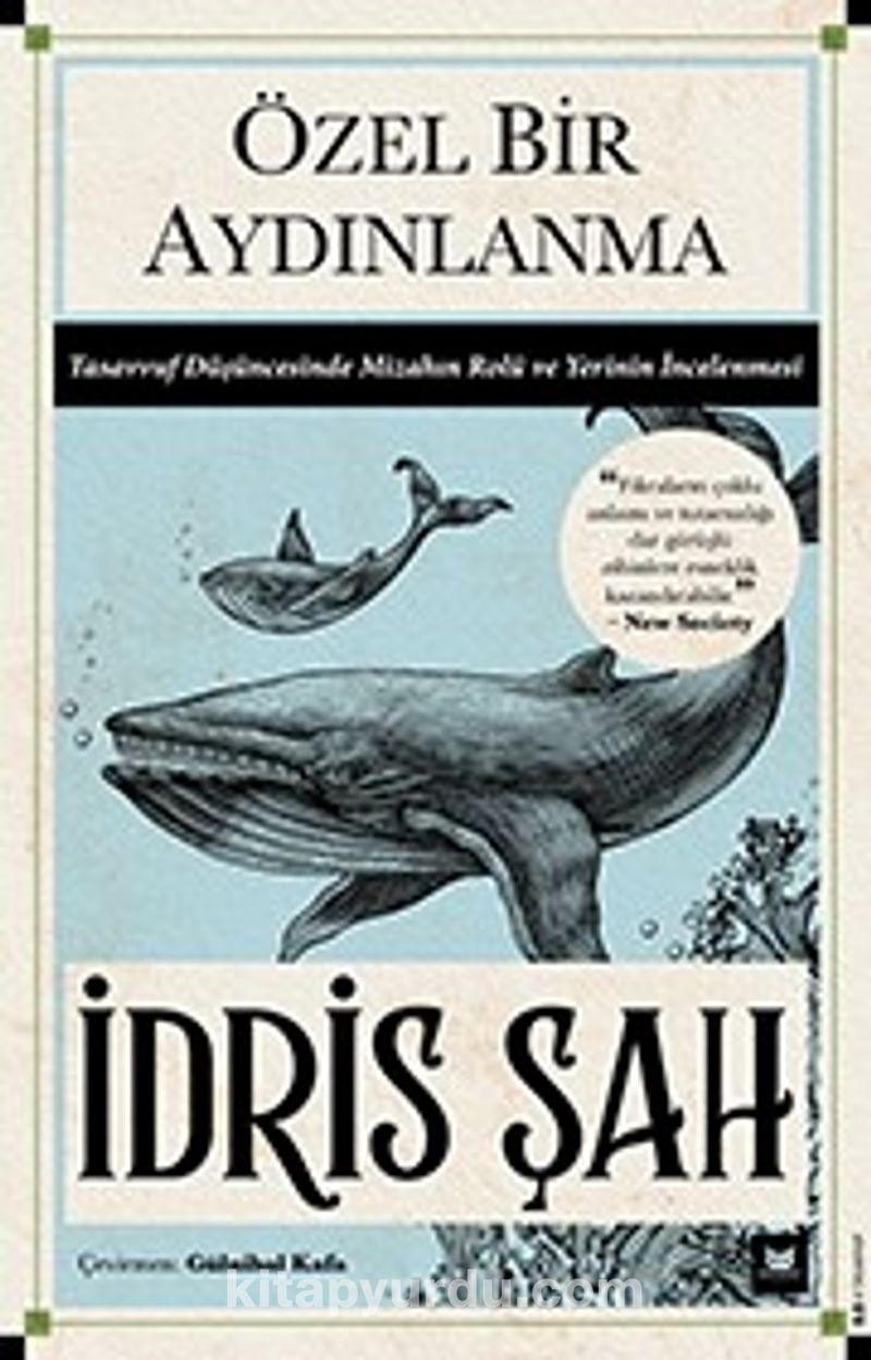 Özel Bir Aydınlanma