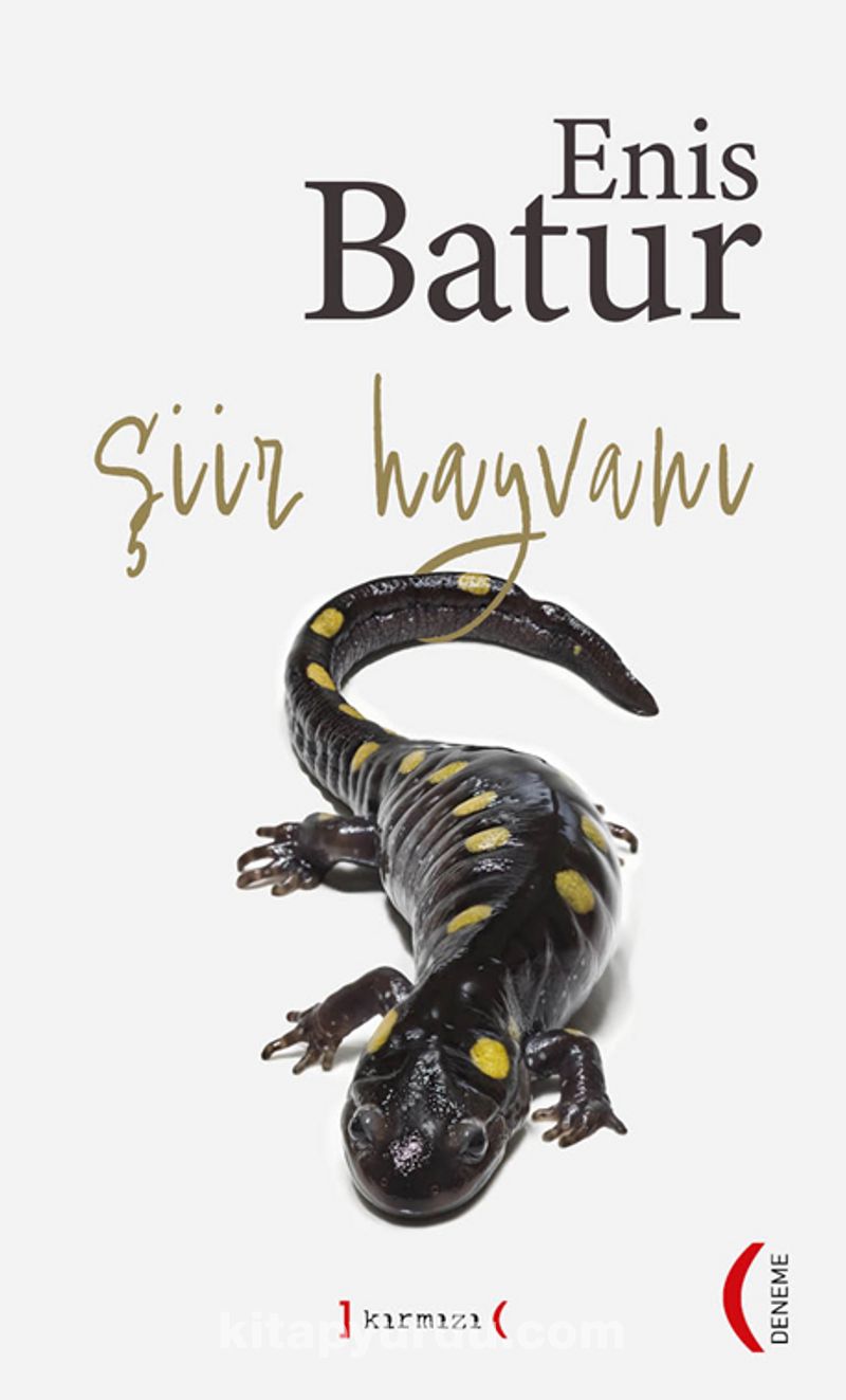 Şiir Hayvanı (Ciltli)