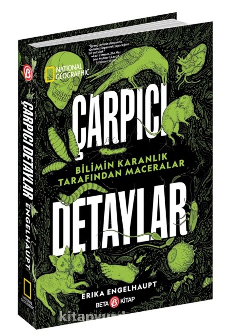 National Geographic / Çarpıcı Detaylar