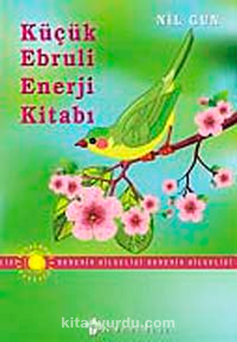 Küçük Ebruli Enerji Kitabı