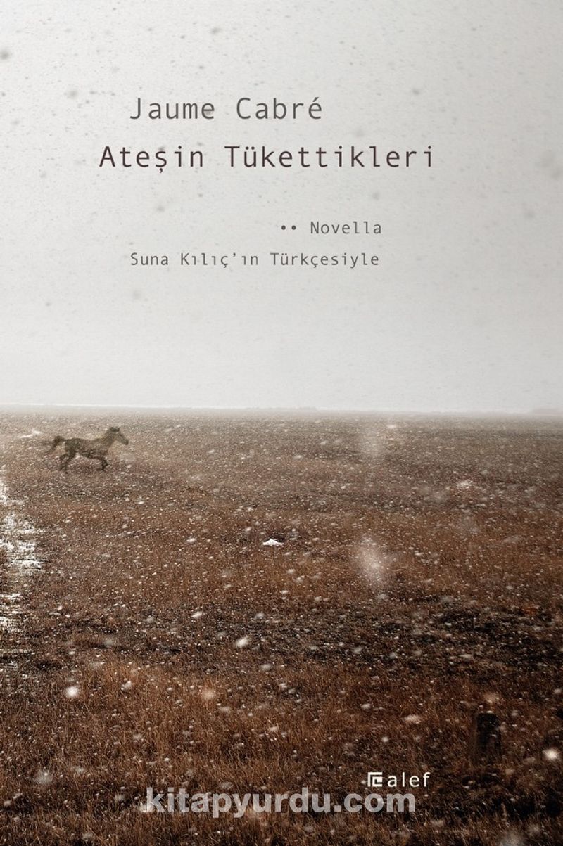 Ateşin Tükettikleri