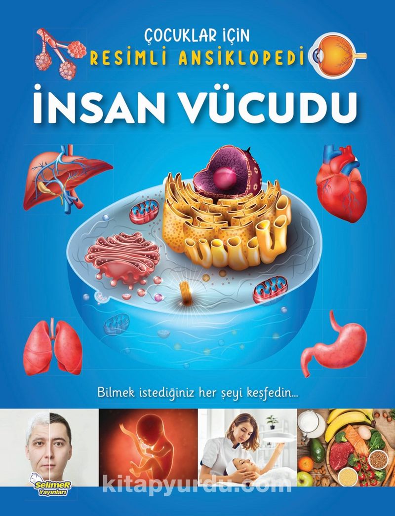 İnsan Vücudu / Çocuklar İçin Resimli Ansiklopedi