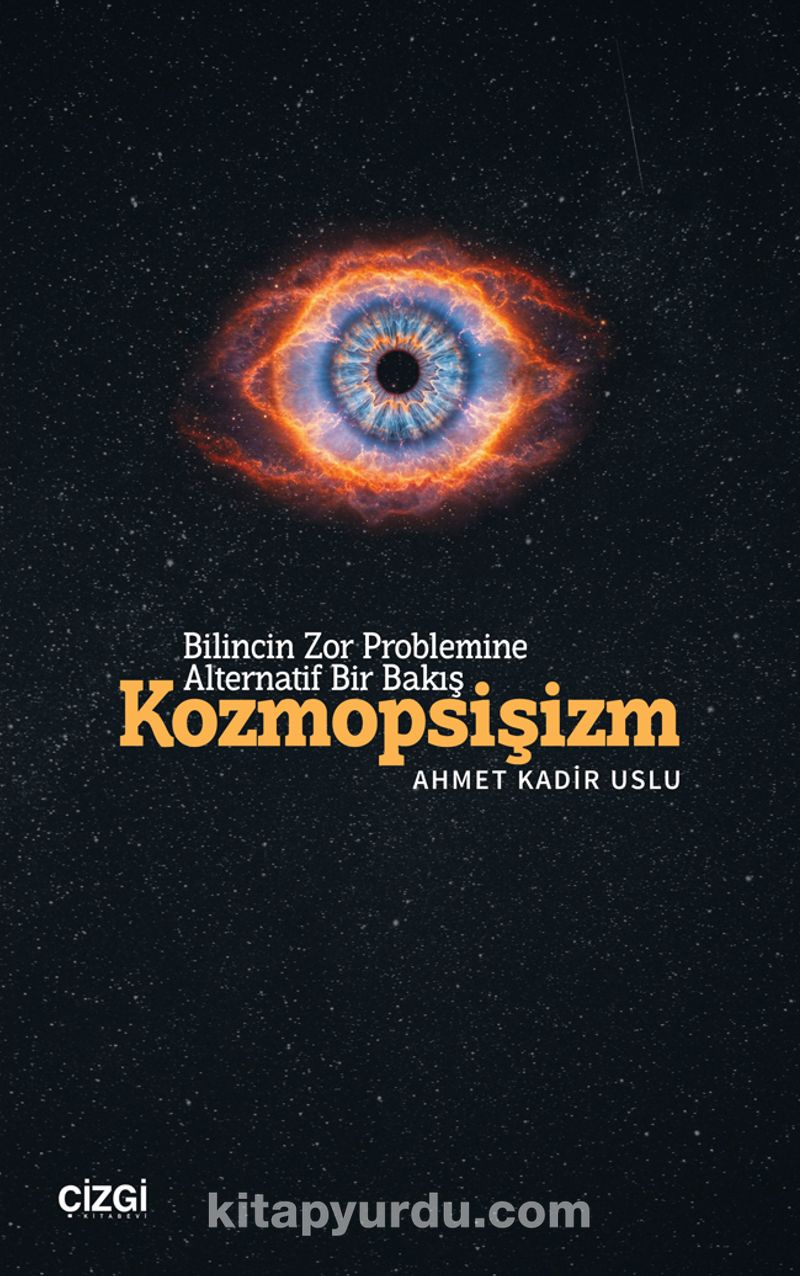 Bilincin Zor Problemine Alternatif Bir Bakış