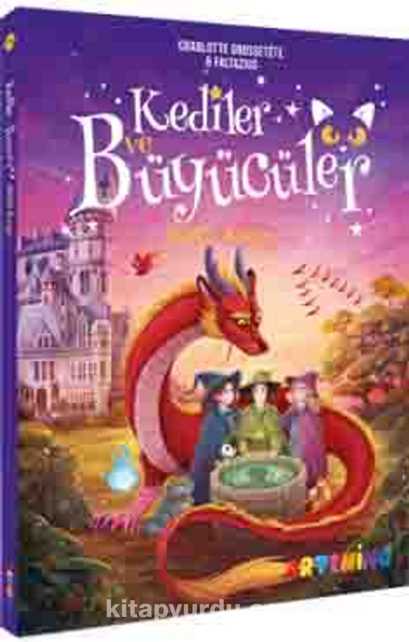 Kediler ve Büyücüler: Sihirli Kuyu