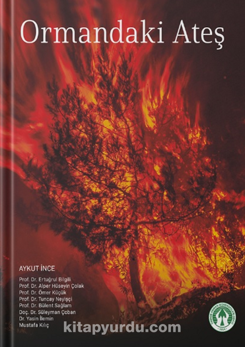 Ormandaki Ateş