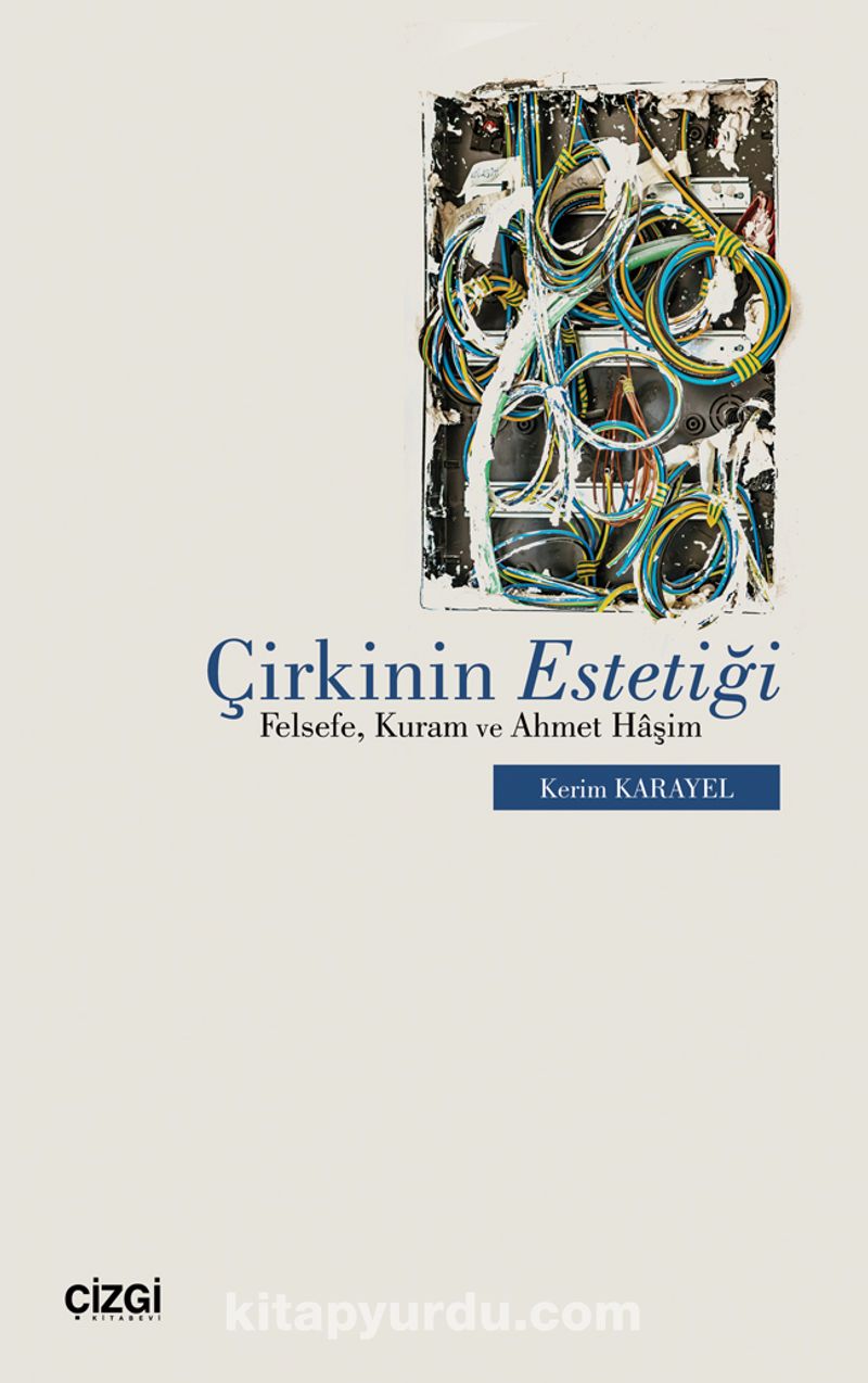 Çirkinin Estetiği