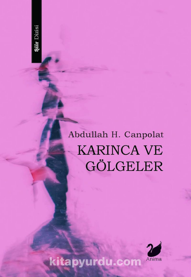 Karınca ve Gölgeler